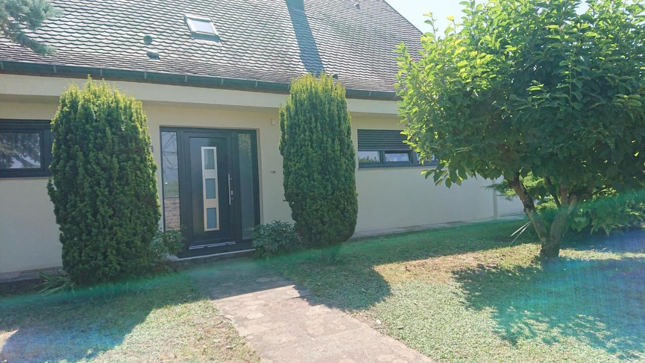 Logement Entier: Route Des Vins.Wintzenheim Leilighet Eksteriør bilde